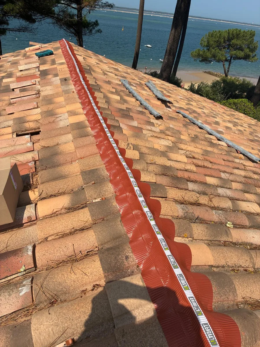 Toiture en tuiles avec closoir rouge encore apparent le long du faîtage, arbres et eau en arrière-plan